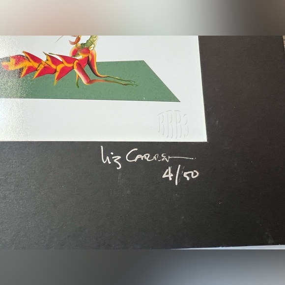 Liz Carren Eco Art Yoga‎ Pose - Picture 4 of 10